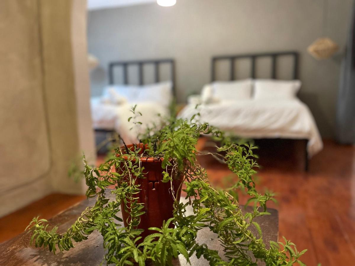 Hotel Villa Helena San Miguel de Allende Kültér fotó