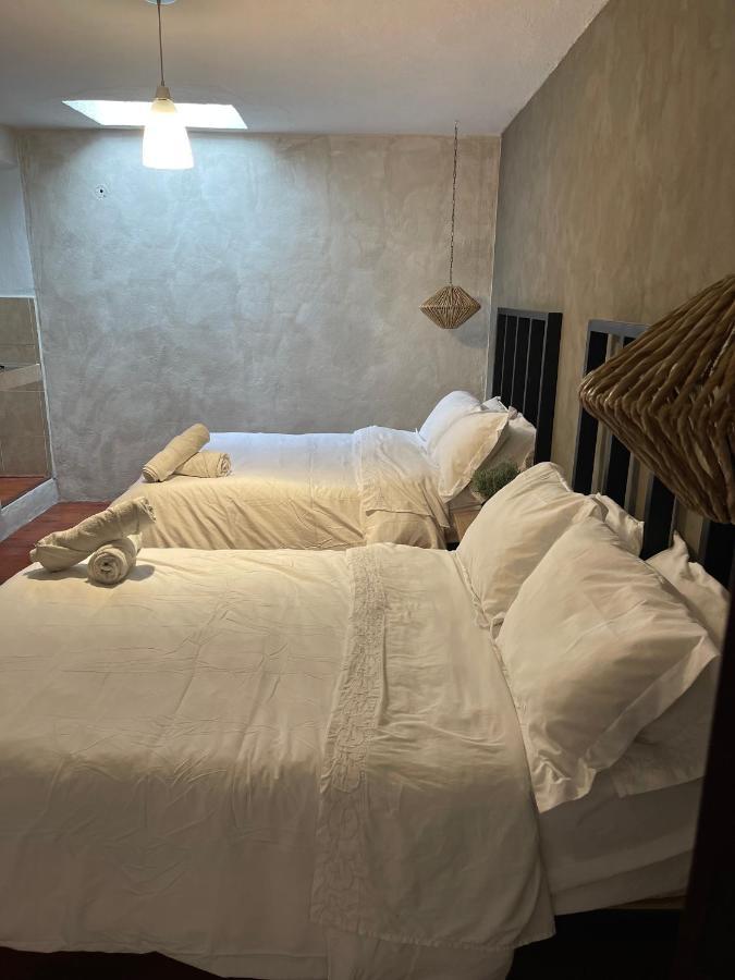 Hotel Villa Helena San Miguel de Allende Kültér fotó